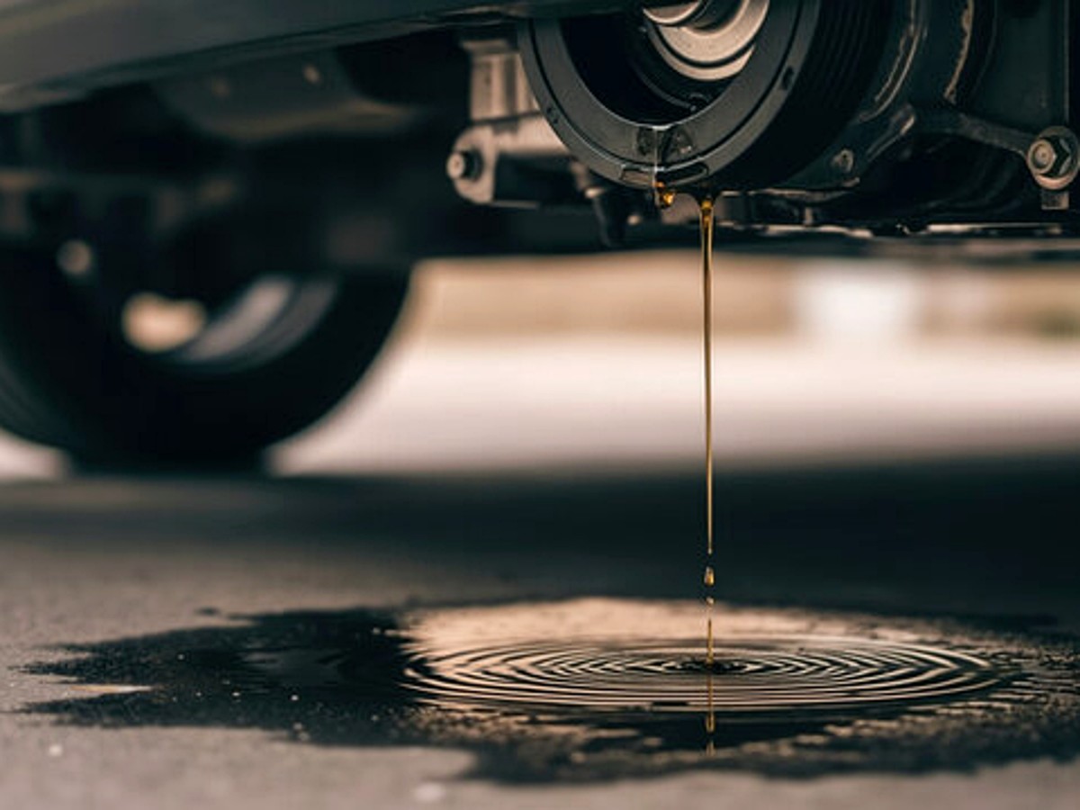 Oil leak diagnosis service
